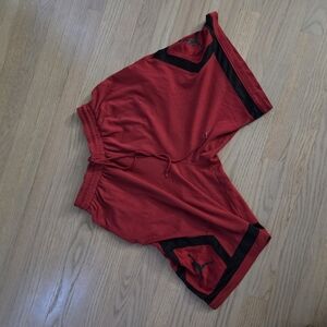 Men's Large Jordan Shorts